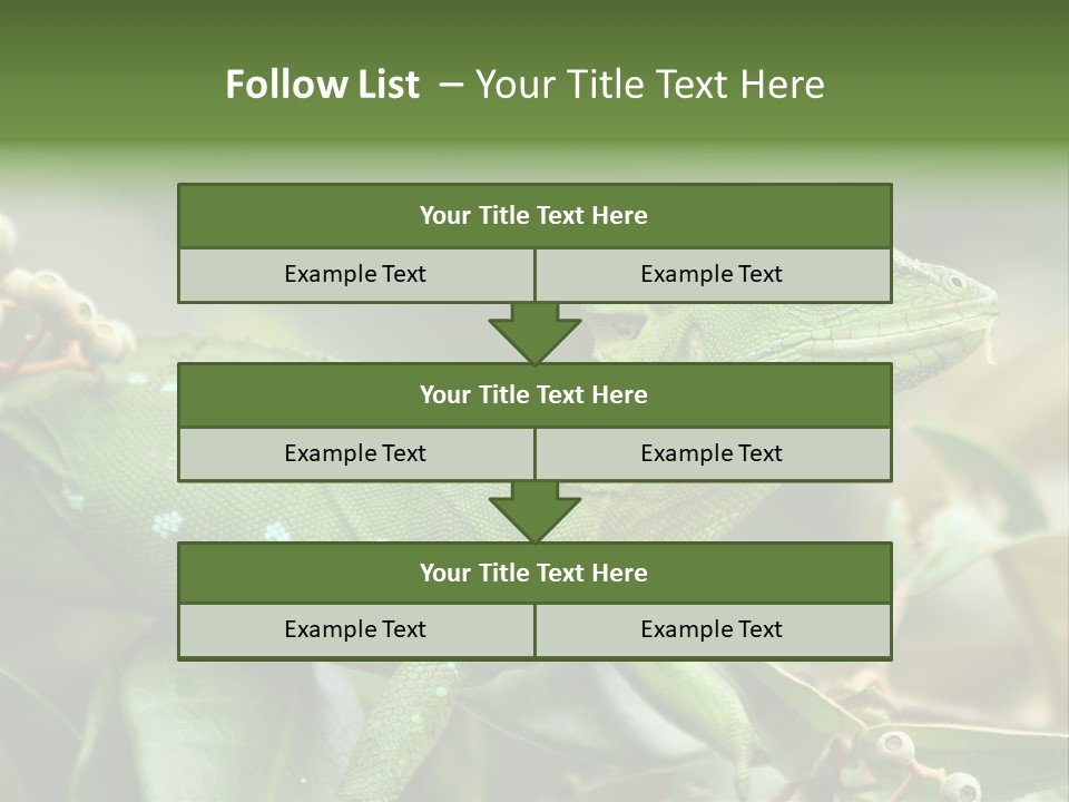 Rainforest America Jesus PowerPoint Template