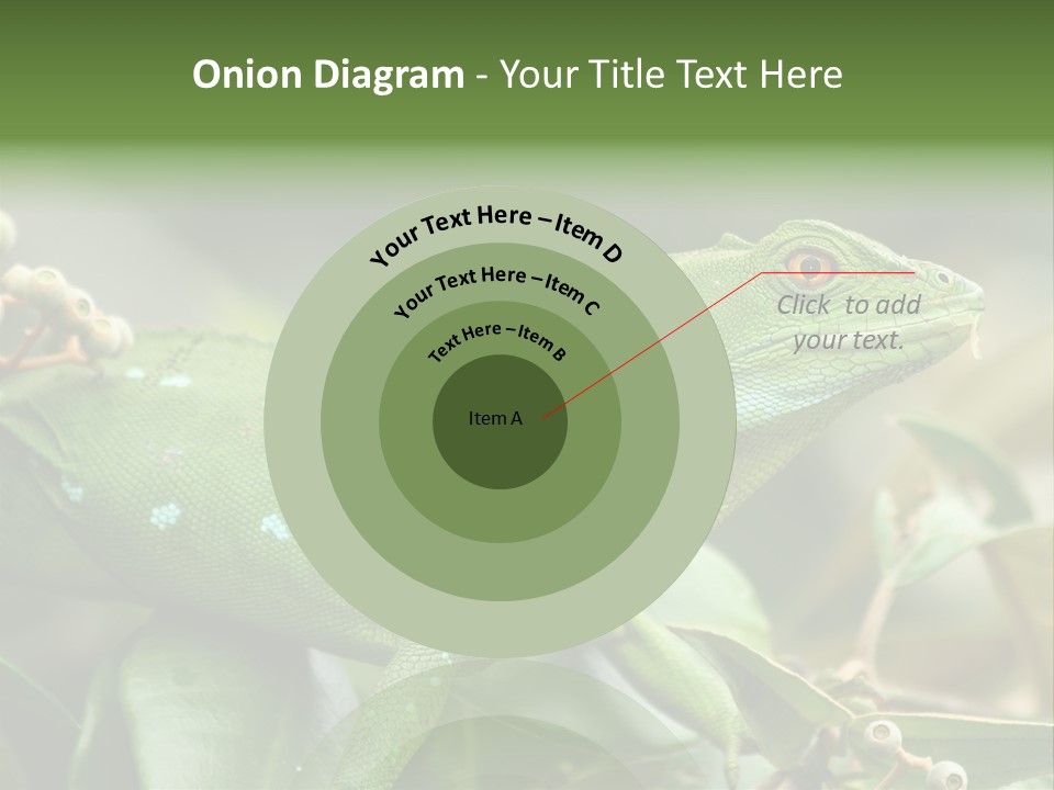 Rainforest America Jesus PowerPoint Template