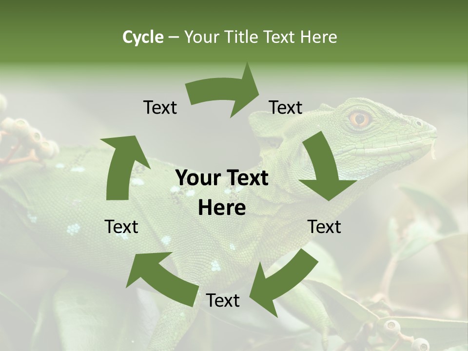 Rainforest America Jesus PowerPoint Template