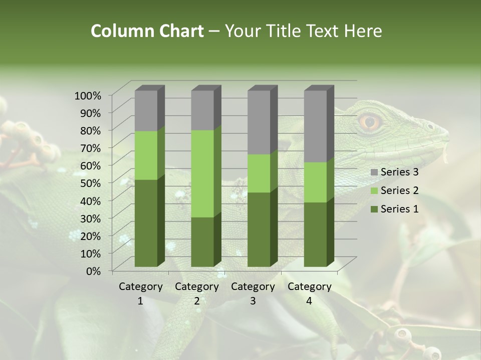 Rainforest America Jesus PowerPoint Template
