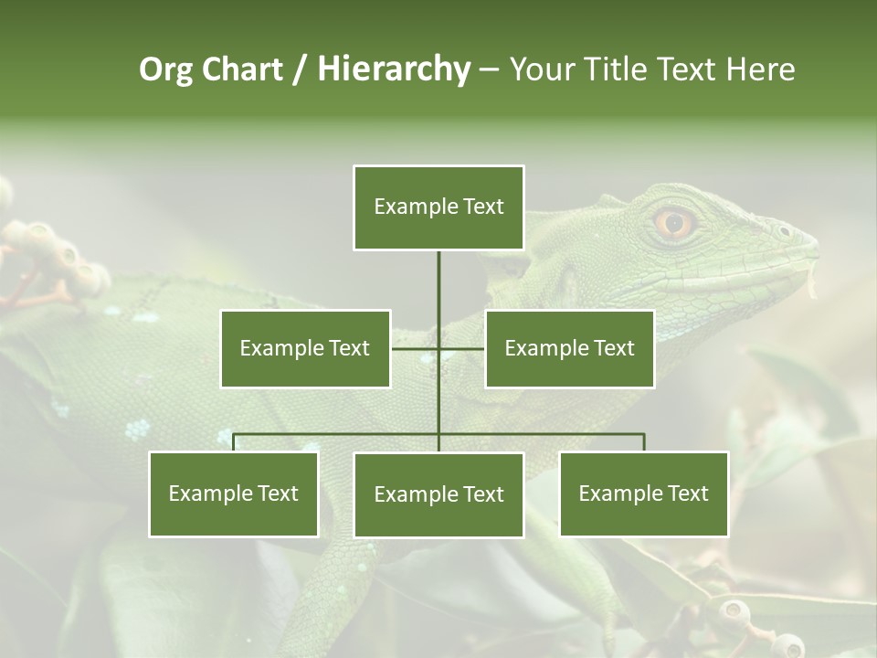 Rainforest America Jesus PowerPoint Template