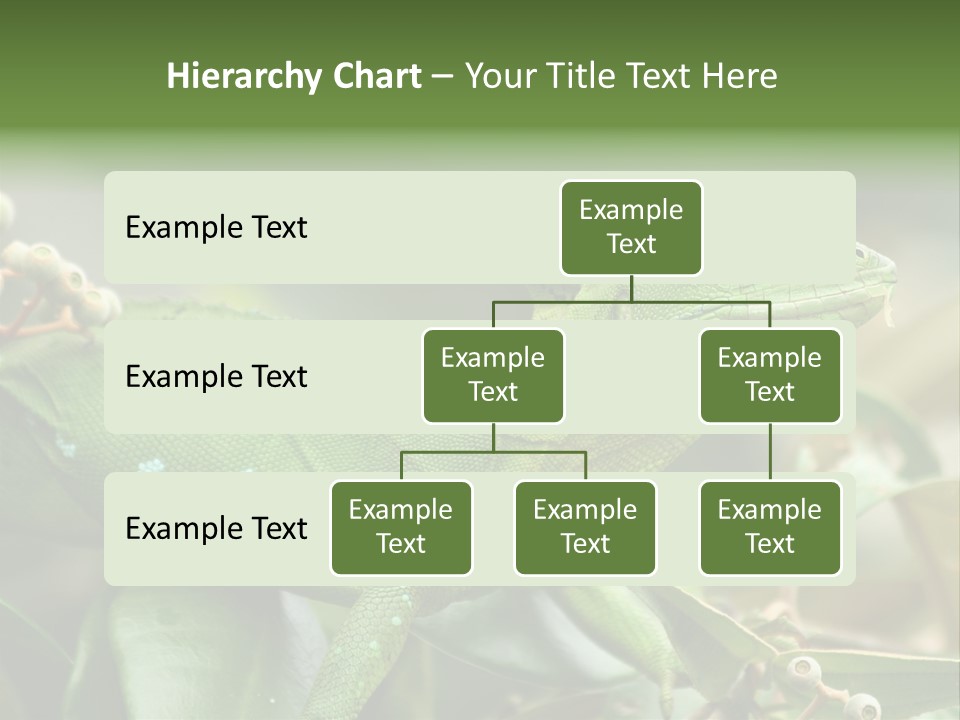 Rainforest America Jesus PowerPoint Template