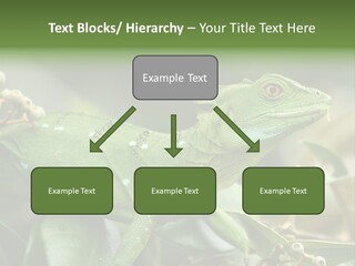 Rainforest America Jesus PowerPoint Template