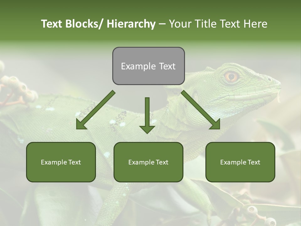 Rainforest America Jesus PowerPoint Template