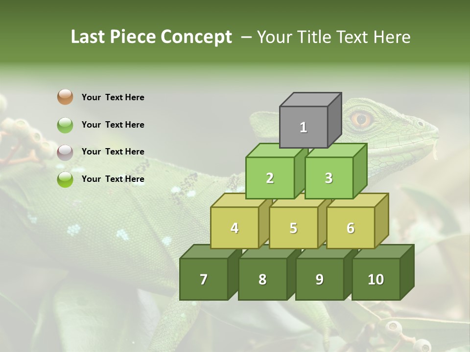 Rainforest America Jesus PowerPoint Template