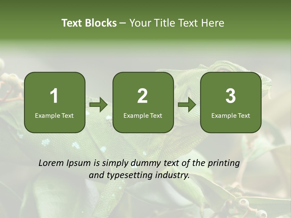 Rainforest America Jesus PowerPoint Template