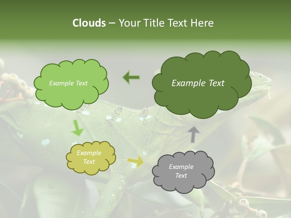 Rainforest America Jesus PowerPoint Template