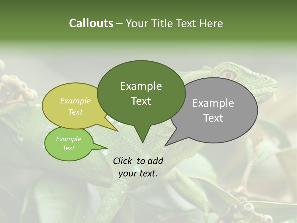 Rainforest America Jesus PowerPoint Template