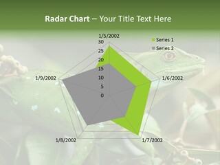 Rainforest America Jesus PowerPoint Template