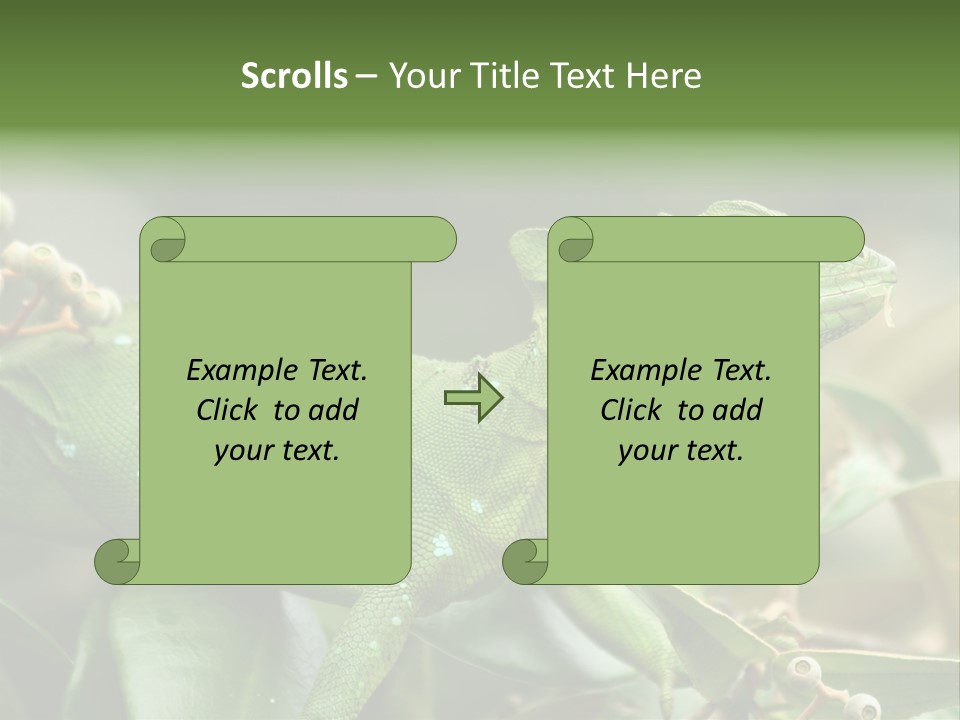 Rainforest America Jesus PowerPoint Template