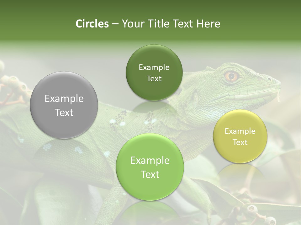 Rainforest America Jesus PowerPoint Template