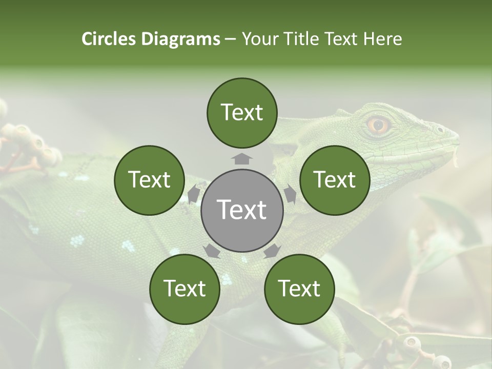 Rainforest America Jesus PowerPoint Template