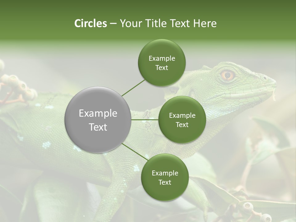 Rainforest America Jesus PowerPoint Template