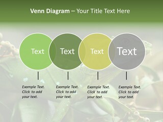 Rainforest America Jesus PowerPoint Template