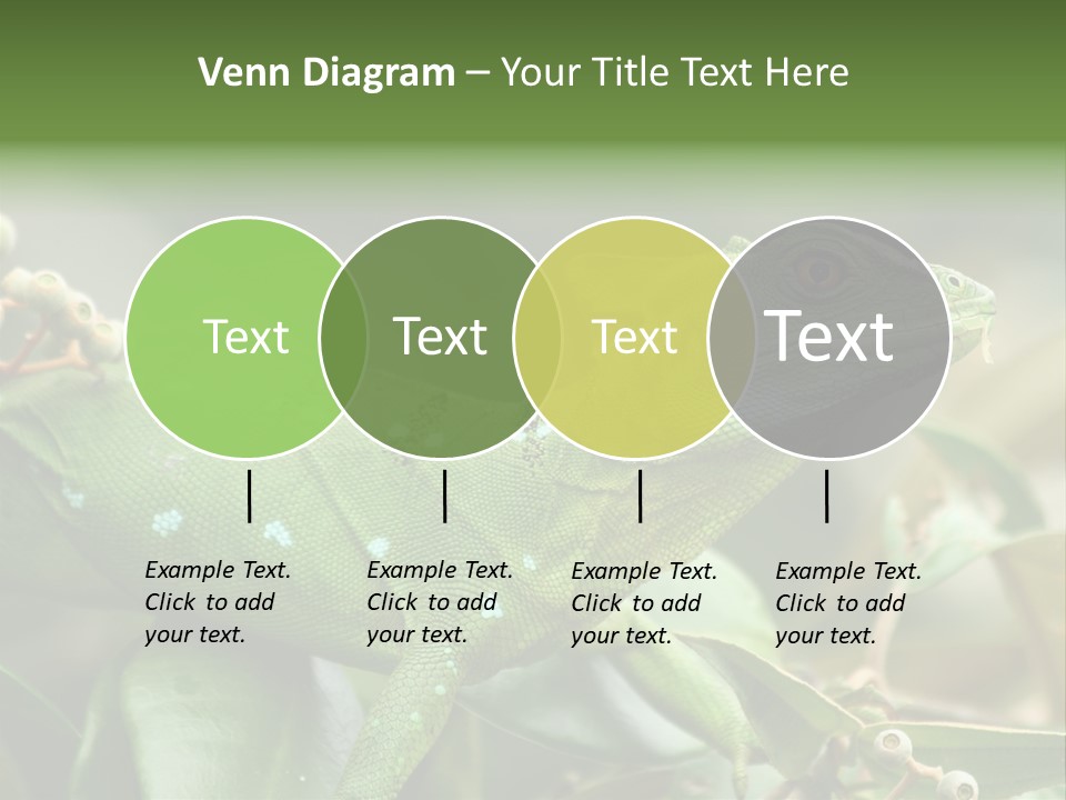 Rainforest America Jesus PowerPoint Template