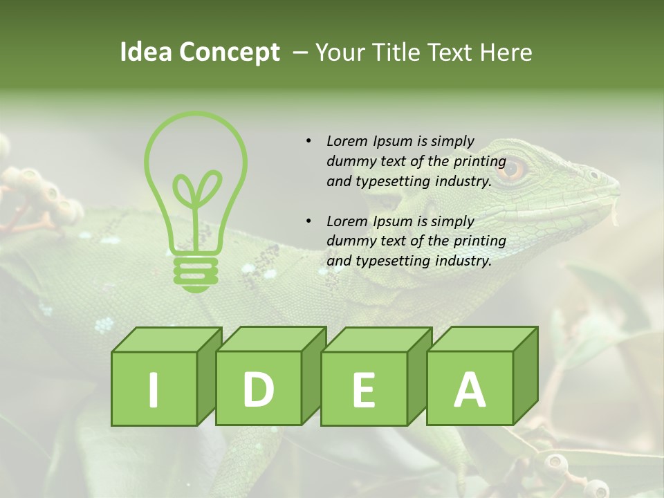 Rainforest America Jesus PowerPoint Template