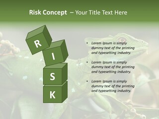 Rainforest America Jesus PowerPoint Template