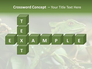 Rainforest America Jesus PowerPoint Template