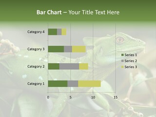 Rainforest America Jesus PowerPoint Template