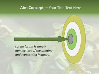 Rainforest America Jesus PowerPoint Template