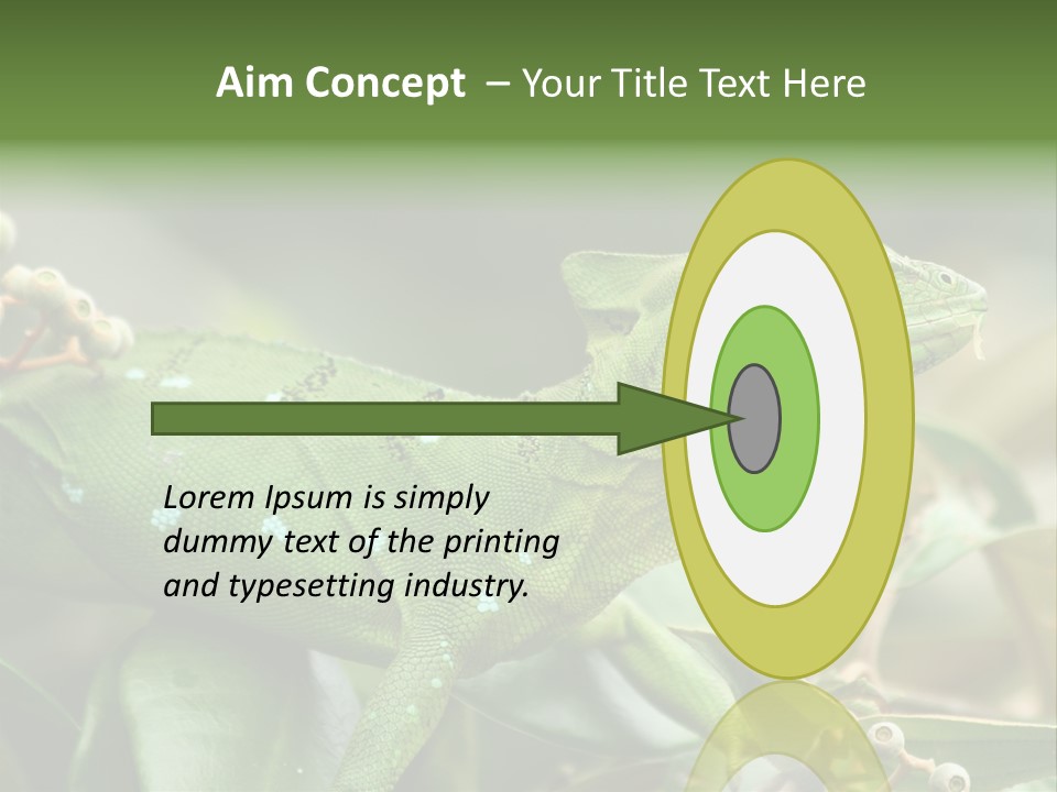 Rainforest America Jesus PowerPoint Template