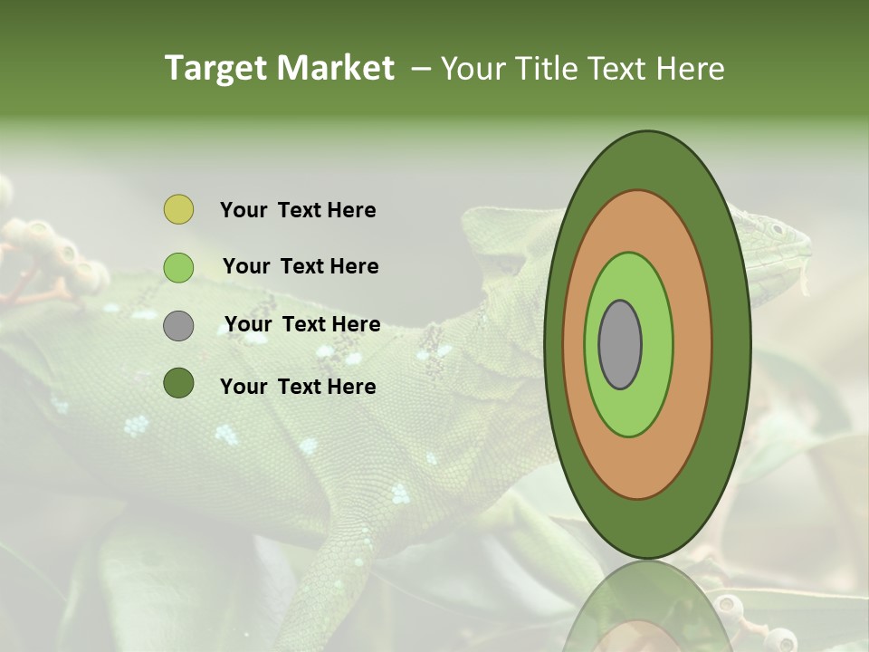 Rainforest America Jesus PowerPoint Template