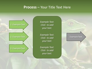 Rainforest America Jesus PowerPoint Template
