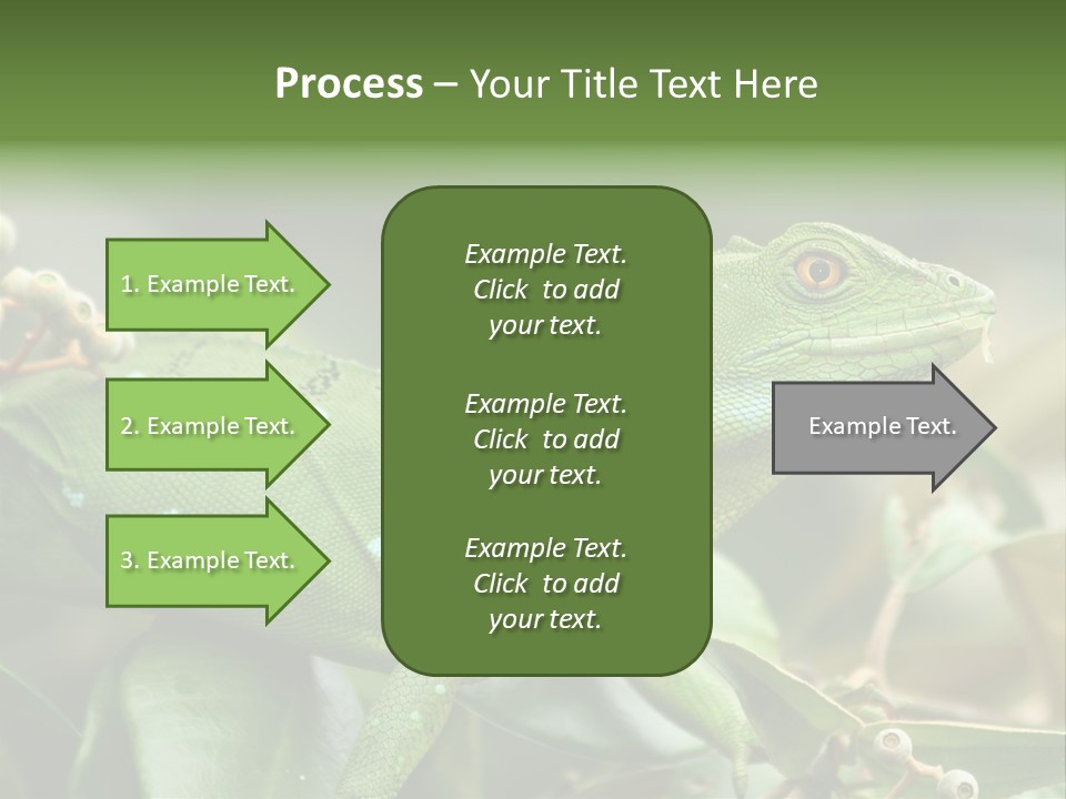 Rainforest America Jesus PowerPoint Template