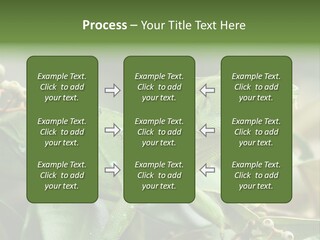 Rainforest America Jesus PowerPoint Template