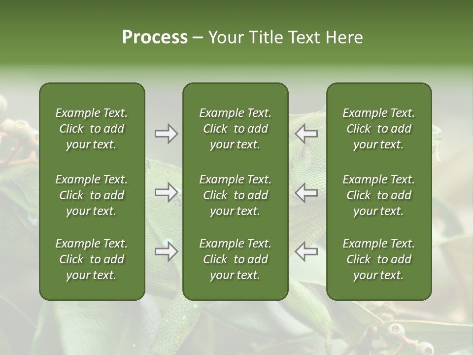 Rainforest America Jesus PowerPoint Template