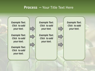 Rainforest America Jesus PowerPoint Template