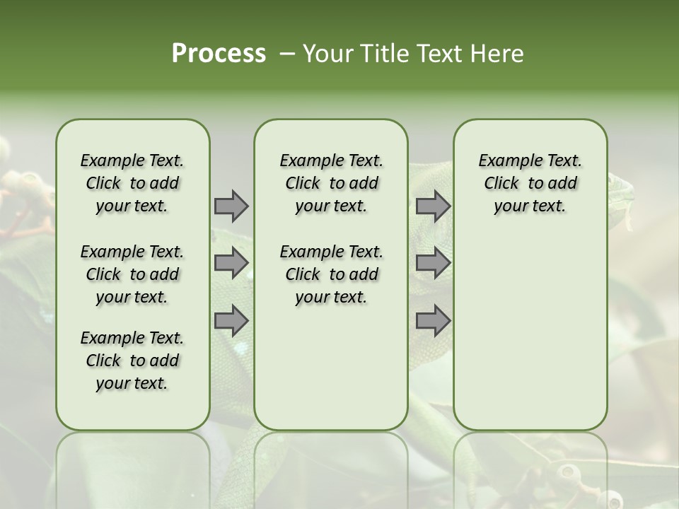 Rainforest America Jesus PowerPoint Template