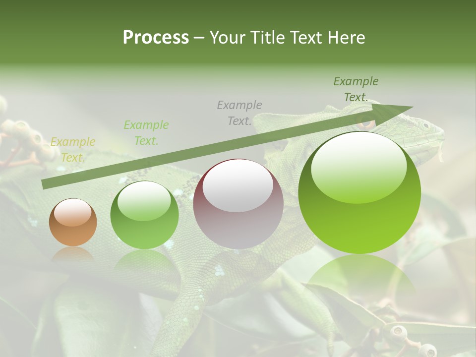 Rainforest America Jesus PowerPoint Template