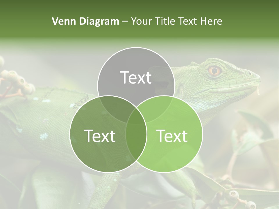 Rainforest America Jesus PowerPoint Template