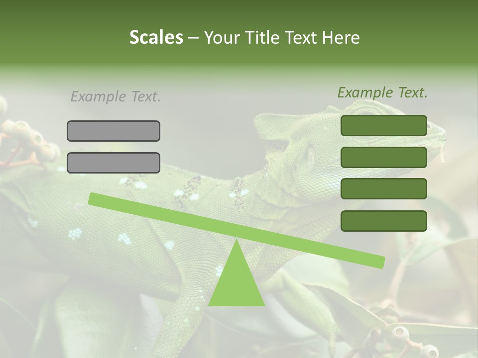 Rainforest America Jesus PowerPoint Template