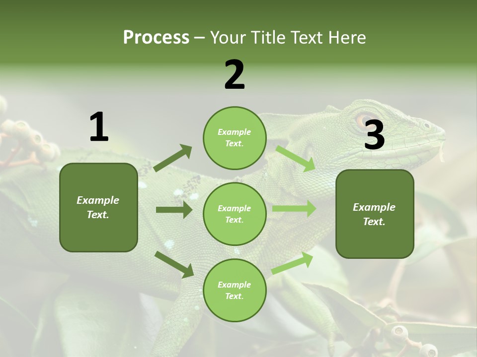 Rainforest America Jesus PowerPoint Template