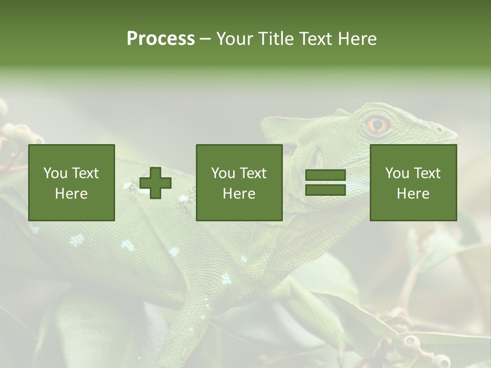 Rainforest America Jesus PowerPoint Template