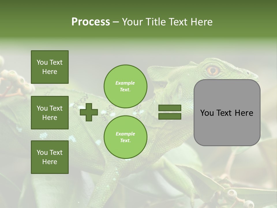 Rainforest America Jesus PowerPoint Template
