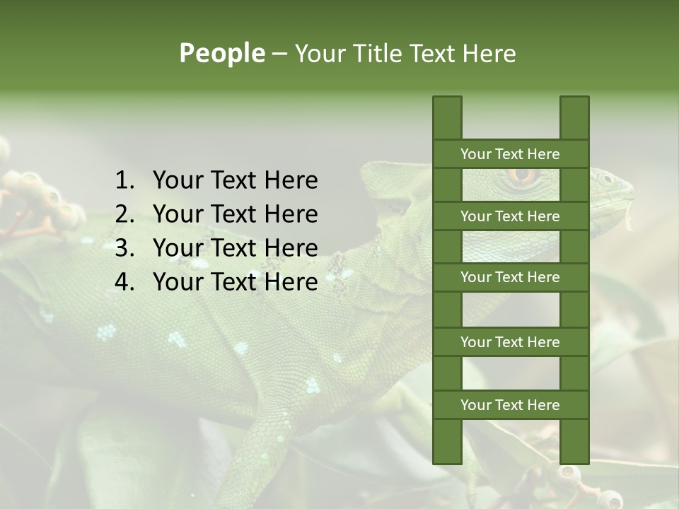 Rainforest America Jesus PowerPoint Template