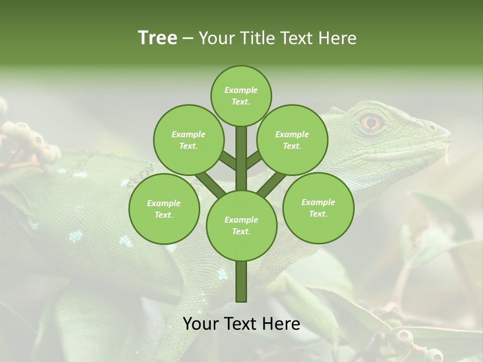 Rainforest America Jesus PowerPoint Template