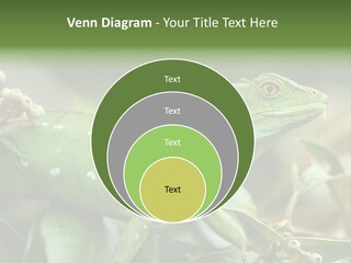 Rainforest America Jesus PowerPoint Template