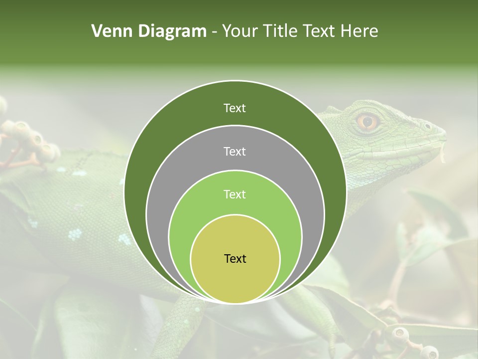 Rainforest America Jesus PowerPoint Template