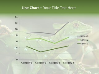 Rainforest America Jesus PowerPoint Template