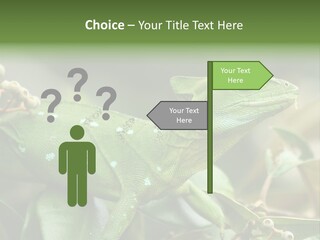 Rainforest America Jesus PowerPoint Template