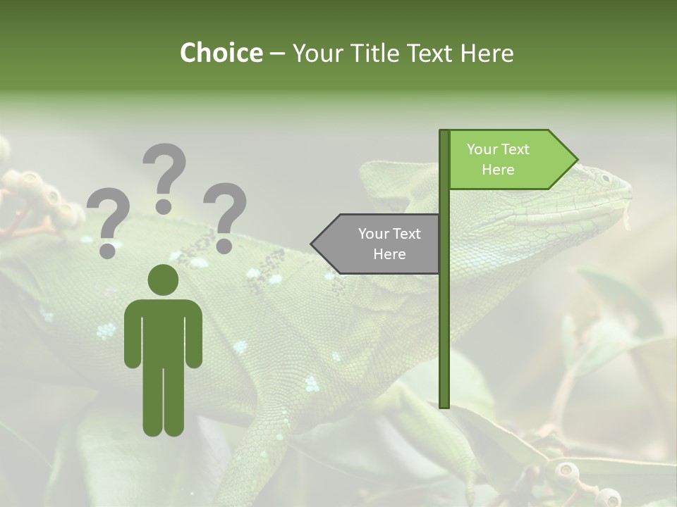 Rainforest America Jesus PowerPoint Template