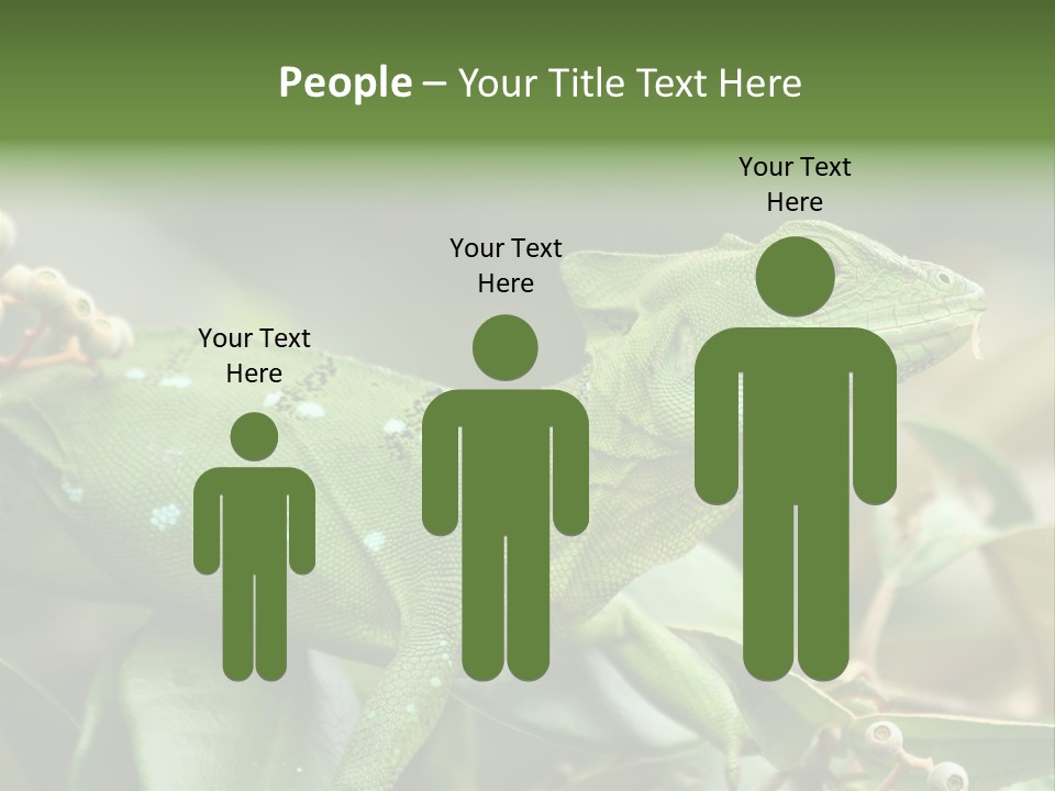 Rainforest America Jesus PowerPoint Template