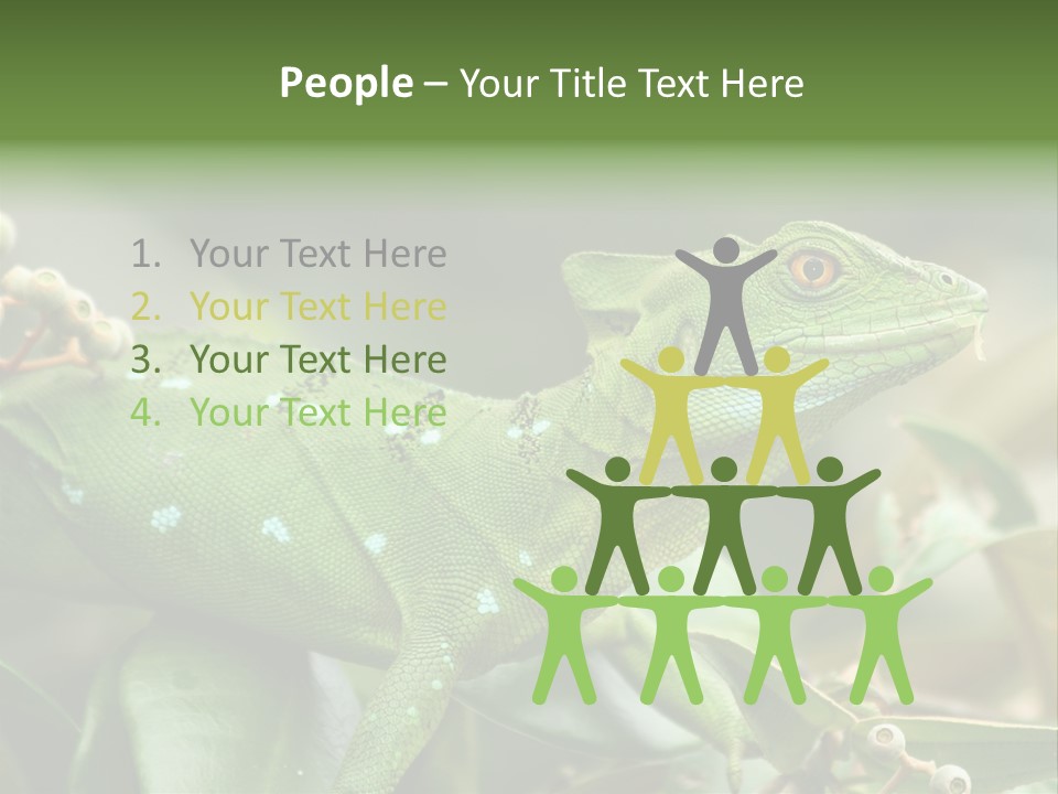 Rainforest America Jesus PowerPoint Template