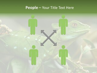 Rainforest America Jesus PowerPoint Template