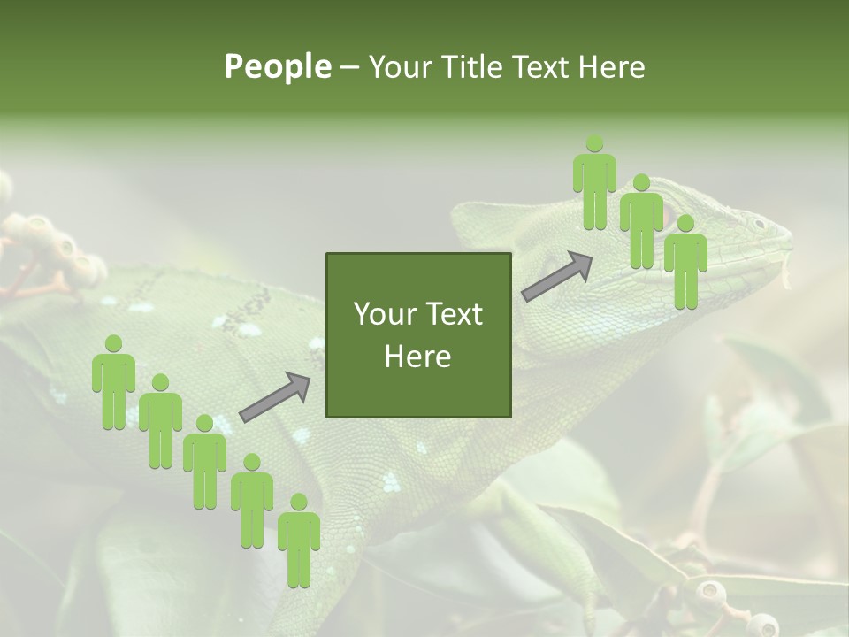 Rainforest America Jesus PowerPoint Template