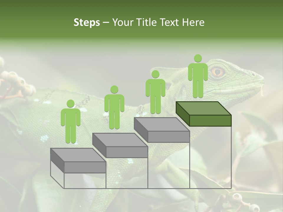 Rainforest America Jesus PowerPoint Template